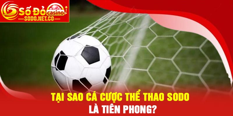 Tại sao cá cược thể thao Sodo là tiên phong?