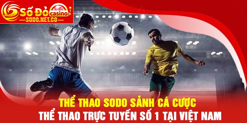 Thể Thao Sodo Sảnh Cá Cược Thể Thao Trực Tuyến Số 1 Tại Việt Nam