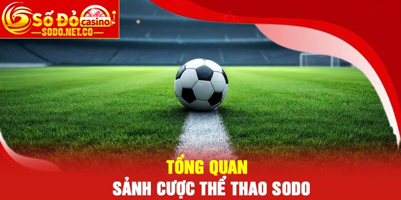Tổng quan sảnh cược thể thao Sodo